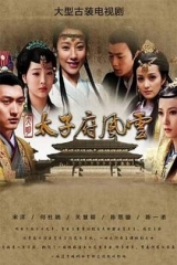 大明太子府风云 大明太子府风云