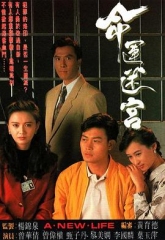 命运迷宫 命运迷宫
