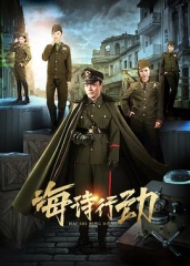 海诗行动 海诗行动