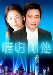 情归何处 情归何处