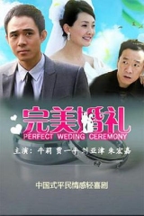 完美婚礼 完美婚礼
