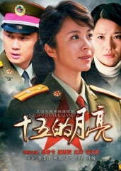 十五的月亮 十五的月亮