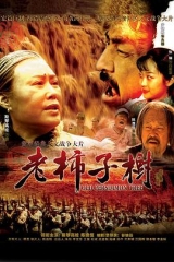 老柿子树 老柿子树