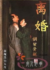 离婚 离婚