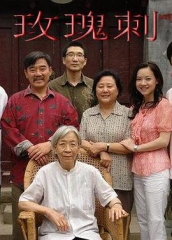 玫瑰刺 玫瑰刺
