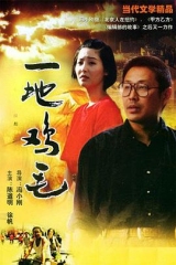 一地鸡毛 一地鸡毛