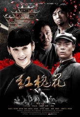 红槐花 红槐花