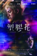 塑胶花 塑胶花