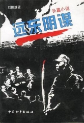 远东阴谋 远东阴谋