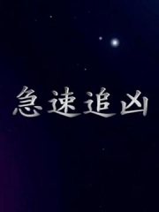 急速追凶 急速追凶