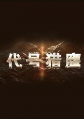 代号猎鹰 代号猎鹰