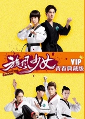 旋风少女第二季VIP青春典藏版 旋风少女第二季VIP青春典藏版