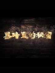黑暗里的秘密 黑暗里的秘密