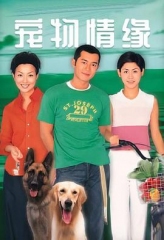 宠物情缘国语 宠物情缘国语