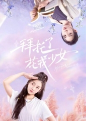 拜托了,花戎少女 拜托了,花戎少女