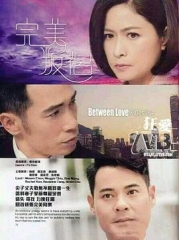 完美叛侣国语 完美叛侣国语