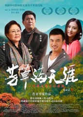 芳草满天涯 芳草满天涯