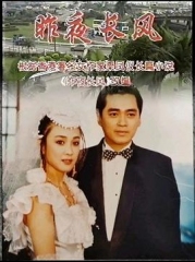 昨夜长风 昨夜长风