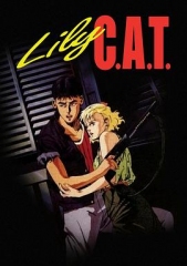 灵猫C.A.T. 灵猫C.A.T.