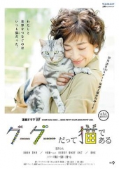 咕咕是一只猫第一季 咕咕是一只猫第一季