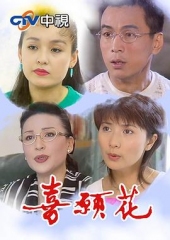 喜愿花 喜愿花
