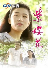 紫樱花 紫樱花
