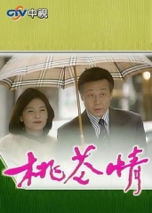 桃花情 桃花情