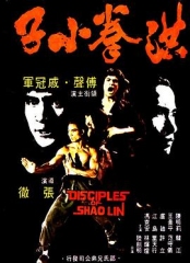洪拳小子粤语 洪拳小子粤语