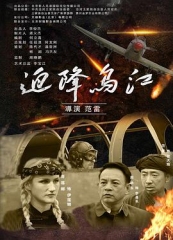 迫降乌江 迫降乌江
