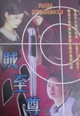 贼至尊粤语 贼至尊粤语