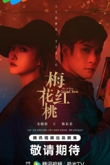 梅花红桃 梅花红桃