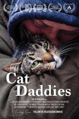 猫爸爸们 猫爸爸们