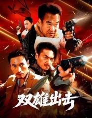 双雄出击 双雄出击