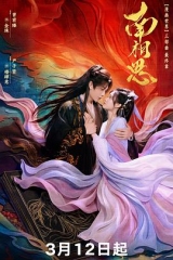 南相思 南相思