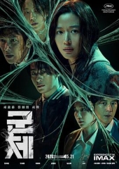 群体 群体