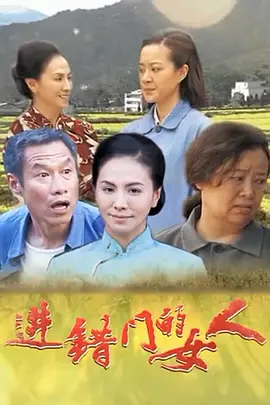 进错门的女人 进错门的女人