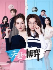 夫妻的博弈 夫妻的博弈