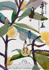 亭亭如盖 亭亭如盖