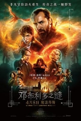 神奇动物:邓布利多之谜 神奇动物:邓布利多之谜