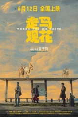 走马观花 走马观花