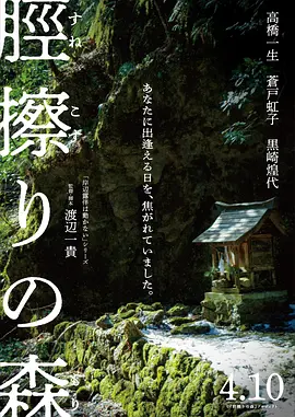 胫擦之森 胫擦之森