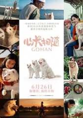 心犬相随 心犬相随