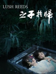 之子于归 之子于归